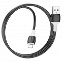  USB -Lightning  1.0 2.4A BOROFONE BX84 