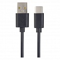  USB -Type-C  1.0 Perfeo U4703 