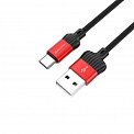  USB -Type-C  1.0 2.1A BOROFONE BX28 Dignity 