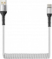  USB -Type-C  1.0 Smartbuy iK-3112sp , 