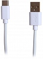  USB -Type-C  1.0 Perfeo U4704 