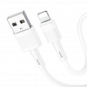  USB -Lightning  1.0 2.4A HOCO X83 Victory 