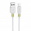  USB -Lightning  1.0 2.4A BOROFONE BX59 Defender 