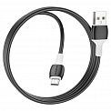  USB -MicroUSB  1.0 2.4A BOROFONE BX84 