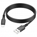  USB -Lightning  1.0 2.4A BOROFONE BX80 Succeed 