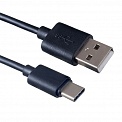  USB -Type-C  1.0 Perfeo U4701
