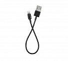  USB -Lightning  0.2 MIREX