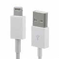 USB -Lightning  1.0  BS-70