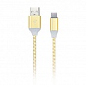  USB -Type-C  1.0 Smartbuy iK-3112ss gold  , 