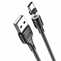  USB -Type-C  1.0 2.0A HOCO X52 , 