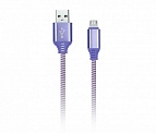  USB -Type-C  1.0 2A Smartbuy iK-3112NS violet   , 