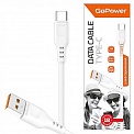  USB -Type-C  1.0 2.4A GoPower GP01T 