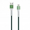  USB -Type-C  1.0 2A Smartbuy iK-3112FL green  , 