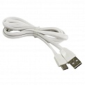  USB -Type-C  1.2 Smartbuy iK-3112r white , 
