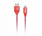  USB -Type-C  1.0 2A Smartbuy iK-3112NS red   , 