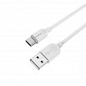  USB -Type-C  1.0 BOROFONE BX14 LinkJet 