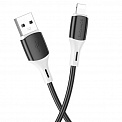  USB -Lightning  1.0 2.4A BOROFONE BX79 
